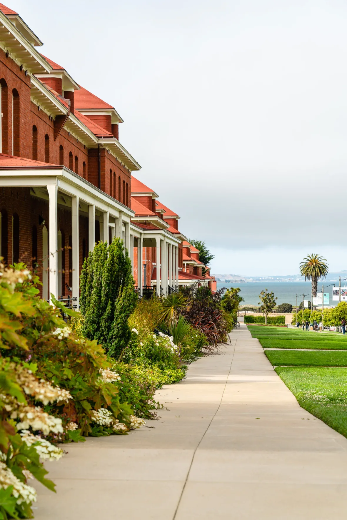 Trees and pathways in the Presidio